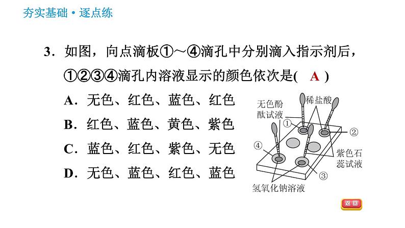 鲁教版九年级下册化学课件 第7单元 7.3 溶液的酸碱性05