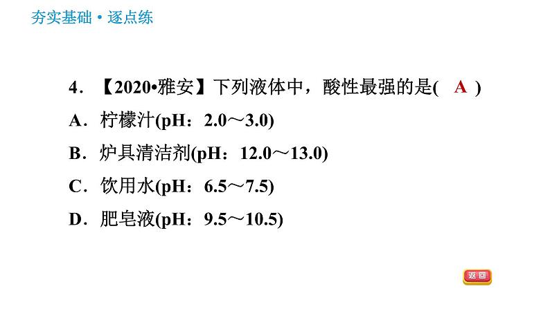 鲁教版九年级下册化学课件 第7单元 7.3 溶液的酸碱性06