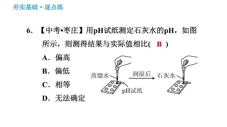 鲁教版九年级下册化学课件 第7单元 7.3 溶液的酸碱性08