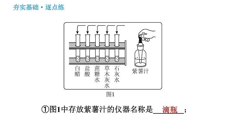 鲁教版九年级下册化学课件 第7单元 到实验室去：探究酸和碱的化学性质 1.1 溶液酸碱性的检验第7页