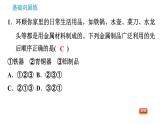 科学版九年级下册化学课件 第6章 6.2.1 金属与氧气、稀酸的反映