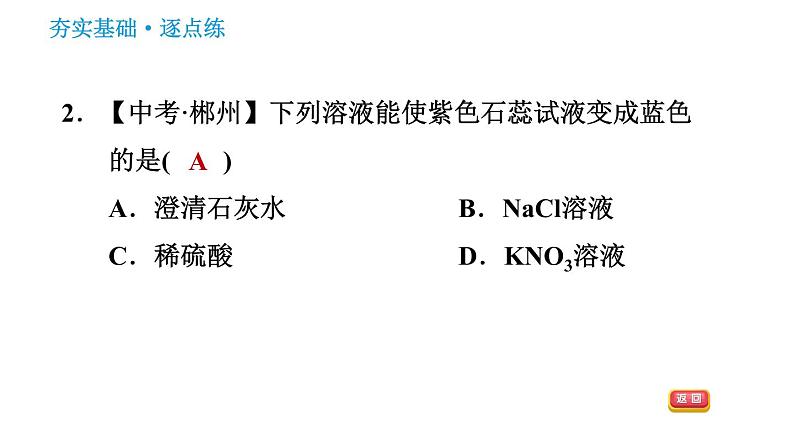 鲁教版五四制九年级化学（全一册）课件 第2单元 2.3 溶液的酸碱性04