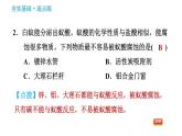 鲁教版五四制九年级化学（全一册）课件 第2单元 2.1.2  酸的化学性质