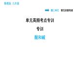 鲁教版五四制九年级化学（全一册）课件 第2单元 单元高频考点专训 专训 酸和碱