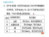 鲁教版五四制九年级化学（全一册）课件 第2单元 单元高频考点专训 专训 酸和碱