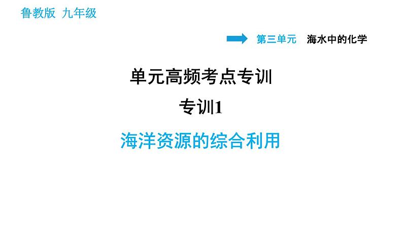 鲁教版五四制九年级化学习题课件 第3单元 单元高频考点专训   专训1 海洋资源的综合利用第1页