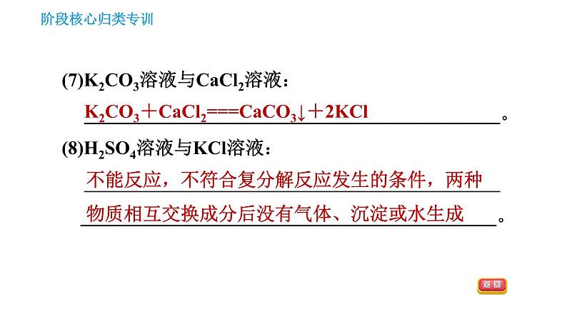 鲁教版五四制九年级化学习题课件 第3单元 单元高频考点专训   专训2 复分解反应发生条件的应用第5页