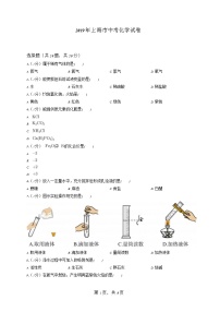 2019年上海市中考化学试卷