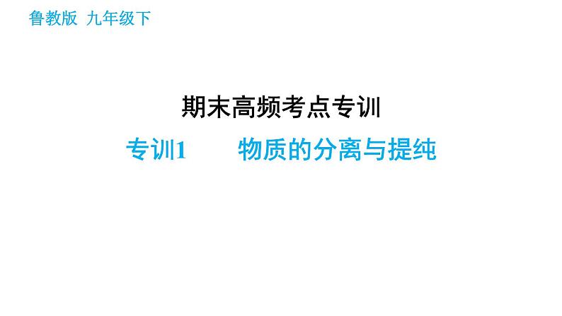 鲁教版九年级下册化学课件 期末高频考点专训 专训1 物质的分离与提纯第1页