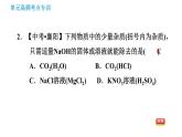 鲁教版九年级下册化学课件 期末高频考点专训 专训1 物质的分离与提纯