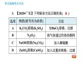 鲁教版九年级下册化学课件 期末高频考点专训 专训1 物质的分离与提纯