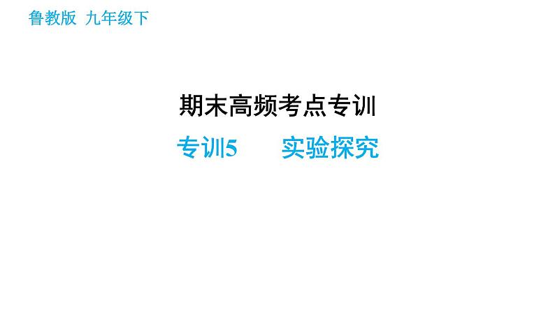 鲁教版九年级下册化学课件 期末高频考点专训 专训5 实验探究第1页