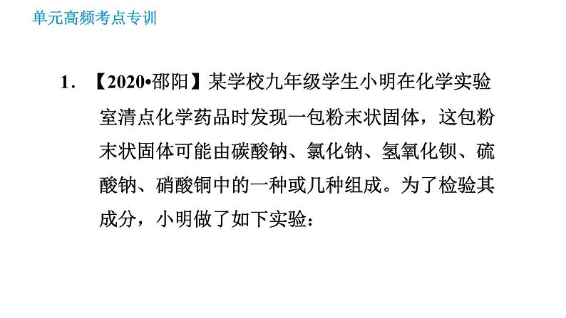 鲁教版九年级下册化学课件 期末高频考点专训 专训5 实验探究第3页