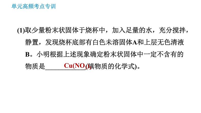 鲁教版九年级下册化学课件 期末高频考点专训 专训5 实验探究第4页