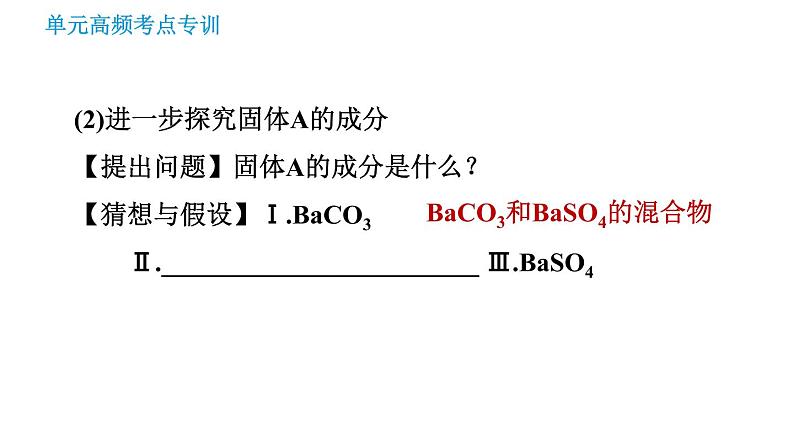 鲁教版九年级下册化学课件 期末高频考点专训 专训5 实验探究第5页