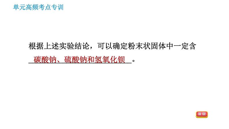 鲁教版九年级下册化学课件 期末高频考点专训 专训5 实验探究第7页