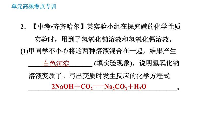 鲁教版九年级下册化学课件 期末高频考点专训 专训5 实验探究第8页