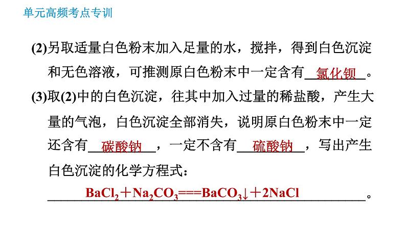 鲁教版九年级下册化学课件 期末高频考点专训 专训4 物质的推断07