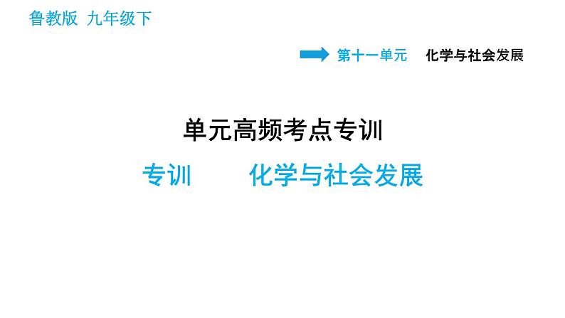 鲁教版九年级下册化学课件 第11单元 单元高频考点专训 专训 化学与社会发展第1页