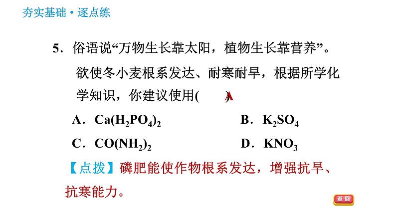 鲁教版九年级下册化学课件 第11单元 11.3 化学与农业生产第7页