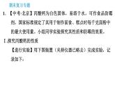 科学版九年级下册化学课件 专题6 实验探究