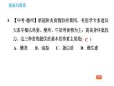 科学版九年级下册化学课件 第9章 9.4.2 食物中的营养素  治病用的药品