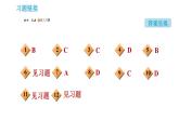 科学版九年级下册化学课件 第8章 实验六 溶液酸碱性检验与酸、碱的化学性质