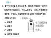 科学版九年级下册化学课件 第8章 实验六 溶液酸碱性检验与酸、碱的化学性质