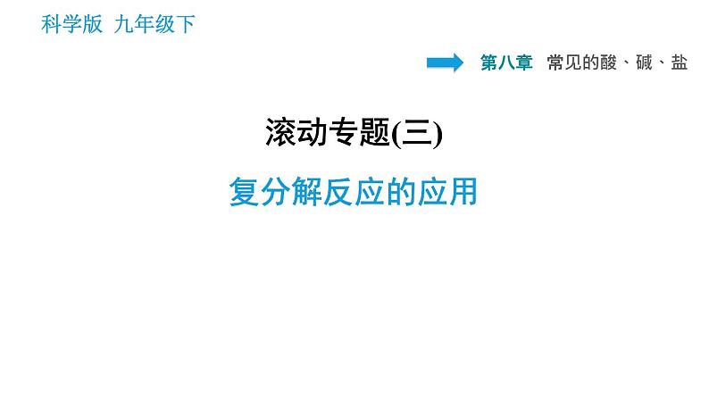 科学版九年级下册化学课件 第8章 滚动专题（三）复分解反应的应用第1页