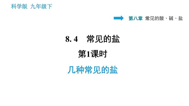 科学版九年级下册化学课件 第8章 8.4.1 几种常见的盐0第1页