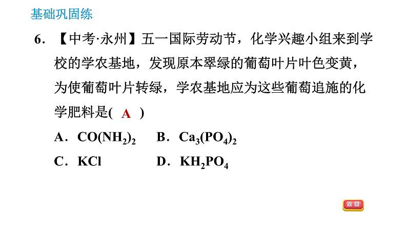 科学版九年级下册化学课件 第8章 8.5 化学肥料0第8页