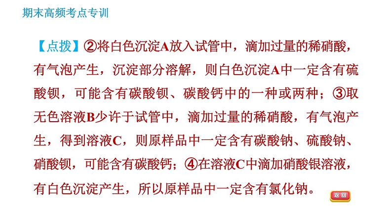 沪教版九年级下册化学课件 期末高频考点专训 专训5 实验探究006