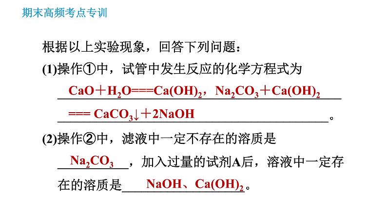 沪教版九年级下册化学课件 期末高频考点专训 专训5 实验探究008