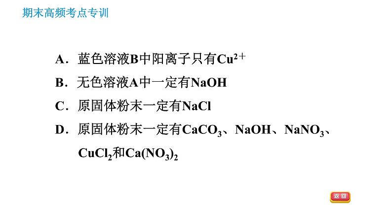 沪教版九年级下册化学课件 期末高频考点专训 专训4 物质的推断006