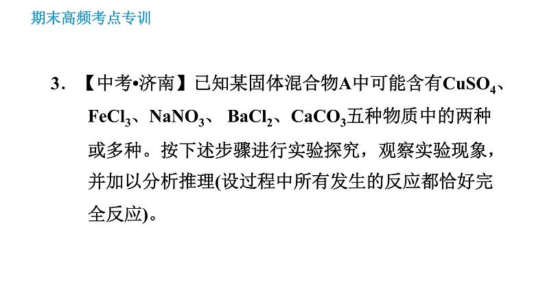 沪教版九年级下册化学课件 期末高频考点专训 专训4 物质的推断007