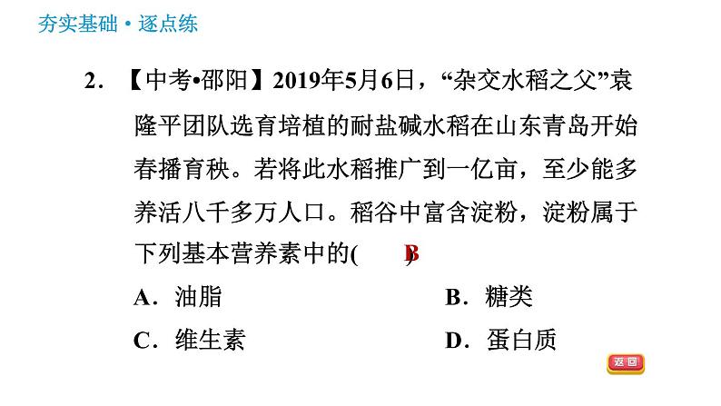 沪教版九年级下册化学课件 第8章 8.2 糖类 油脂004