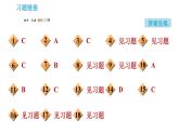 人教版九年级下册化学课件 第10单元 单元热门考点整合专训