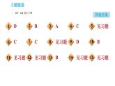 人教版九年级下册化学课件 第10单元 实验活动6 酸、碱的化学性质