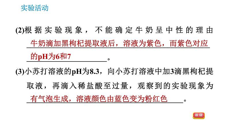 人教版九年级下册化学课件 第10单元 实验活动7 溶液酸碱性的检验08