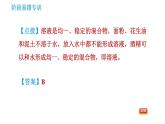 人教版九年级下册化学课件 第9单元 阶段易错专训 有关溶液的概念及溶解度曲线的易错易混点0