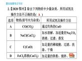 人教版九年级下册化学习题课件 期末考点 专训3 物质的分离与提纯