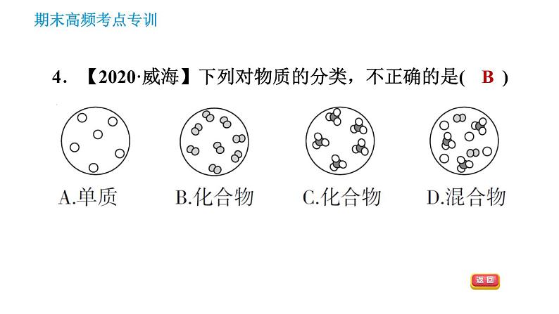 人教版九年级下册化学习题课件 期末考点 专训1 物质的分类第6页