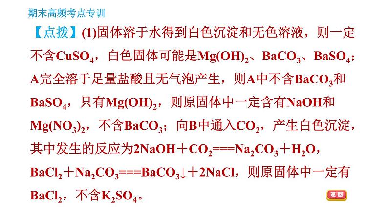 人教版九年级下册化学习题课件 期末考点 专训5 物质的推断08