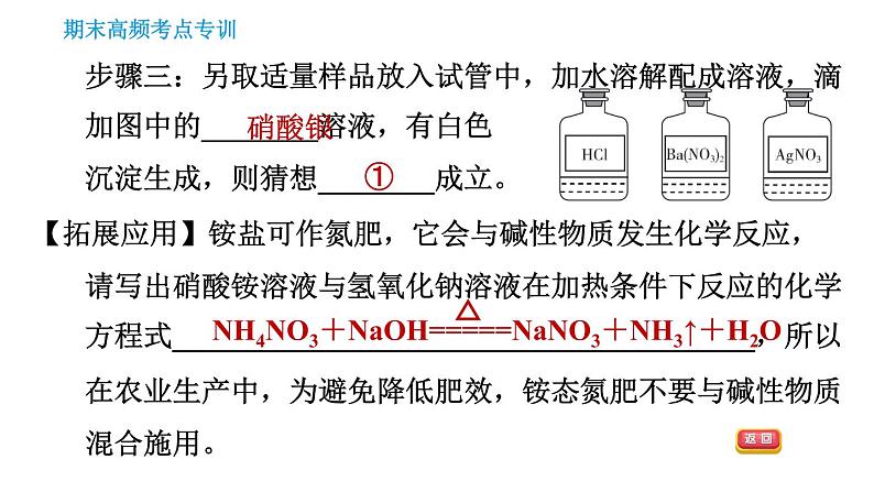 人教版九年级下册化学习题课件 期末考点 专训6 实验探究第5页