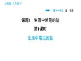 人教版九年级下册化学习题课件 第11单元 11.1.1 生活中常见的盐