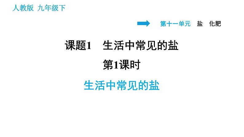 人教版九年级下册化学习题课件 第11单元 11.1.1 生活中常见的盐第1页