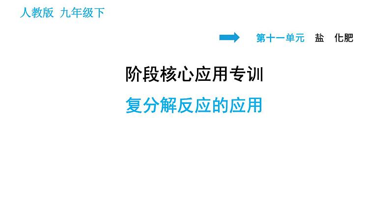 人教版九年级下册化学习题课件 第11单元 阶段核心应用专训 复分解反应的应用01