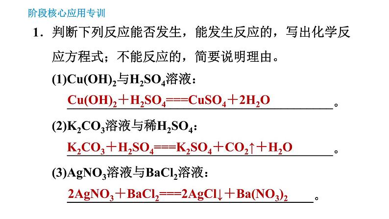 人教版九年级下册化学习题课件 第11单元 阶段核心应用专训 复分解反应的应用03