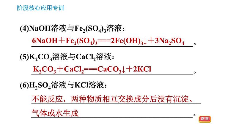 人教版九年级下册化学习题课件 第11单元 阶段核心应用专训 复分解反应的应用04