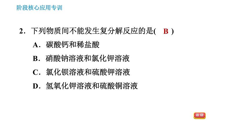 人教版九年级下册化学习题课件 第11单元 阶段核心应用专训 复分解反应的应用05